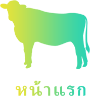 หน้าแรก